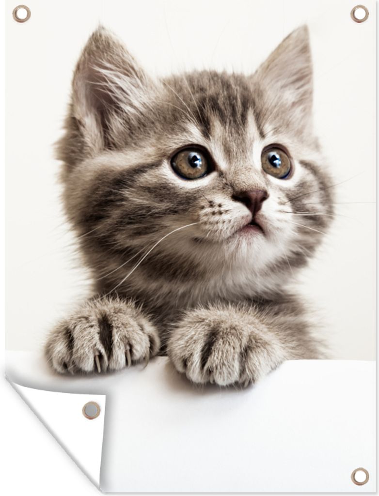 MuchoWow 30x40 cm Outdoor-Poster Gartendeko Sichtschutz Garten Poster für den Garten Katze - Grau - Tiere