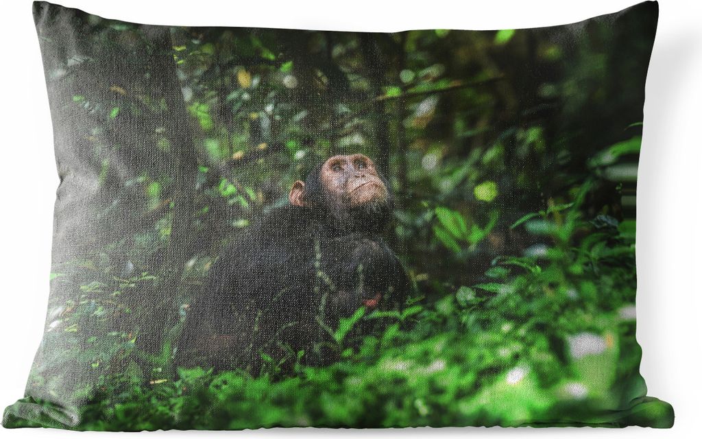 MuchoWow Outdoor Kissen - App zwischen Grünpflanzen im Dschungel - 50x30 cm - Wetterfest - Lounge Kissen - Sofa kissen - Wohnzimmer Dekoration