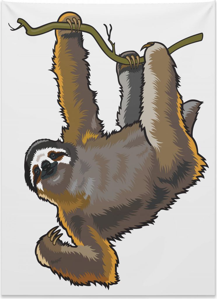 Abakuhaus Tier Wandteppich, Faule Faultier Bär Cartoon aus Weiches Mikrofaser Stoff Kein Verblassen Klare Farben Waschbar, 110 x 150 cm, Grau