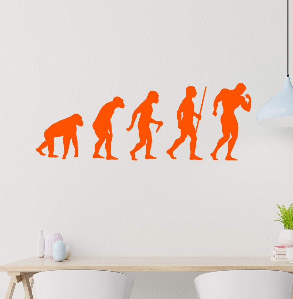 Bodybuilding Evolution Wandtattoo Wandaufkleber Wall Sticker - Dekoration, Küche, Wohnzimmer, Schlafzimmer, Badezimmer