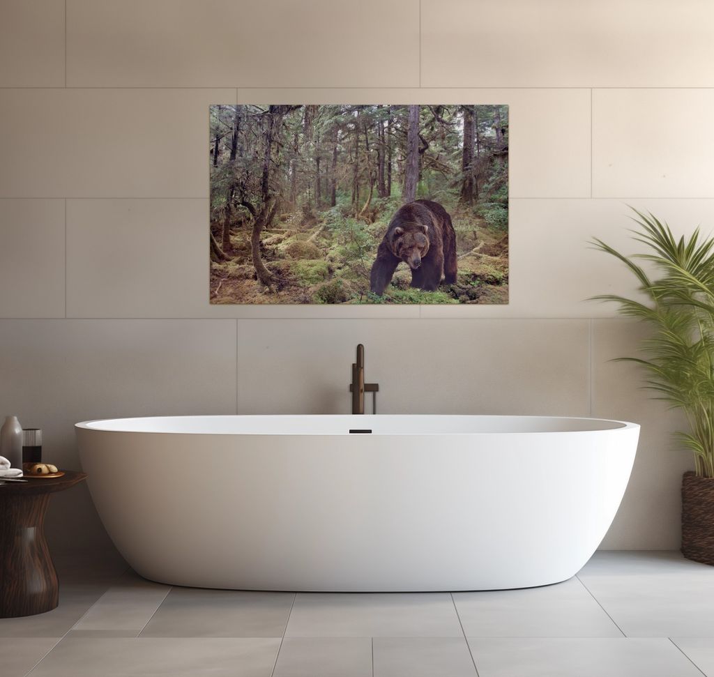 Wallario wasserfestes Poster selbstklebend 91,50 x 61 cm, Gefährlicher Grizzlybär im Wald, Badezimmerposter Spritzschutz mit Hochglanzoberfläche...