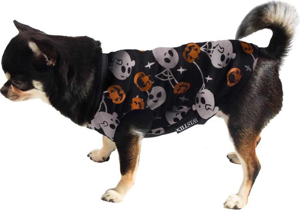 Killstar Hundetop - Haunted Pumpkin S