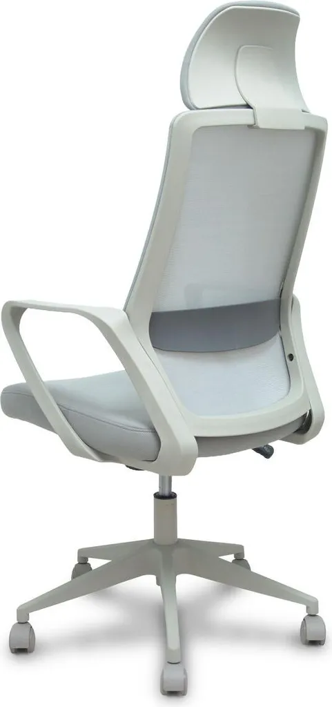 Siège de bureau ergonomique Foröl 053PGRN gris avec support cervical fixe