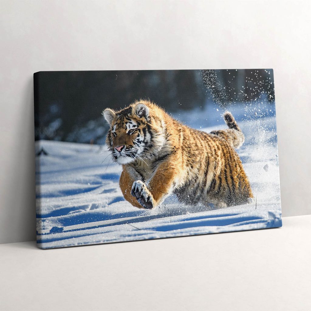 Flauschiger Tiger im Schnee – Leinwandbild Wandbild – 30x20 cm – Leinwandbilder – Wandbilder – Schlafzimmer – Flur