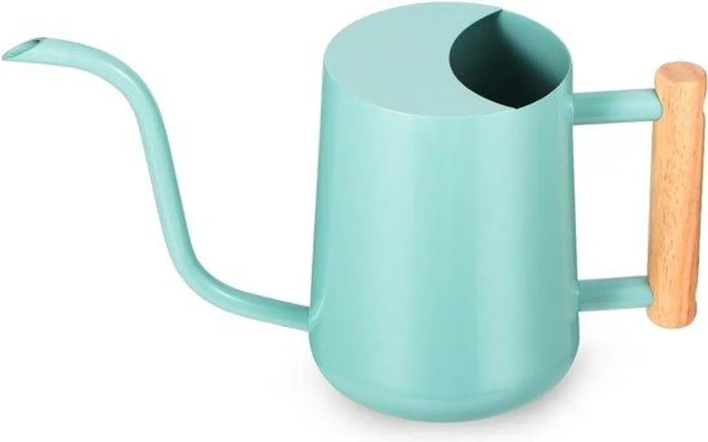 Arrosez sans en mettre partout : petit arrosoir de précision 1L inox noir