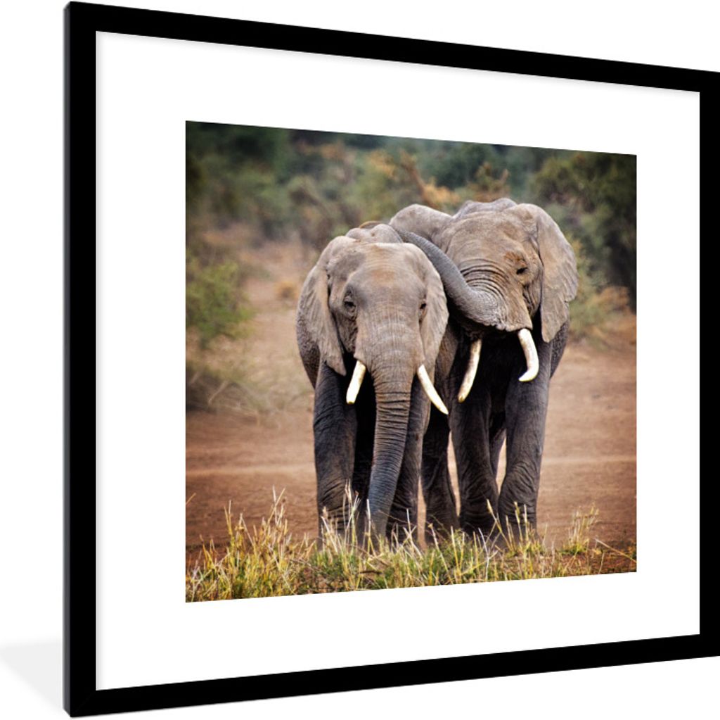 MuchoWow Gerahmtes Poster Elefantenfreunde 40x40 cm - Poster mit Schwarzem Bilderrahmen Wandposter Rahmen Foto Bilder - Poster - Plakat im Rahmen