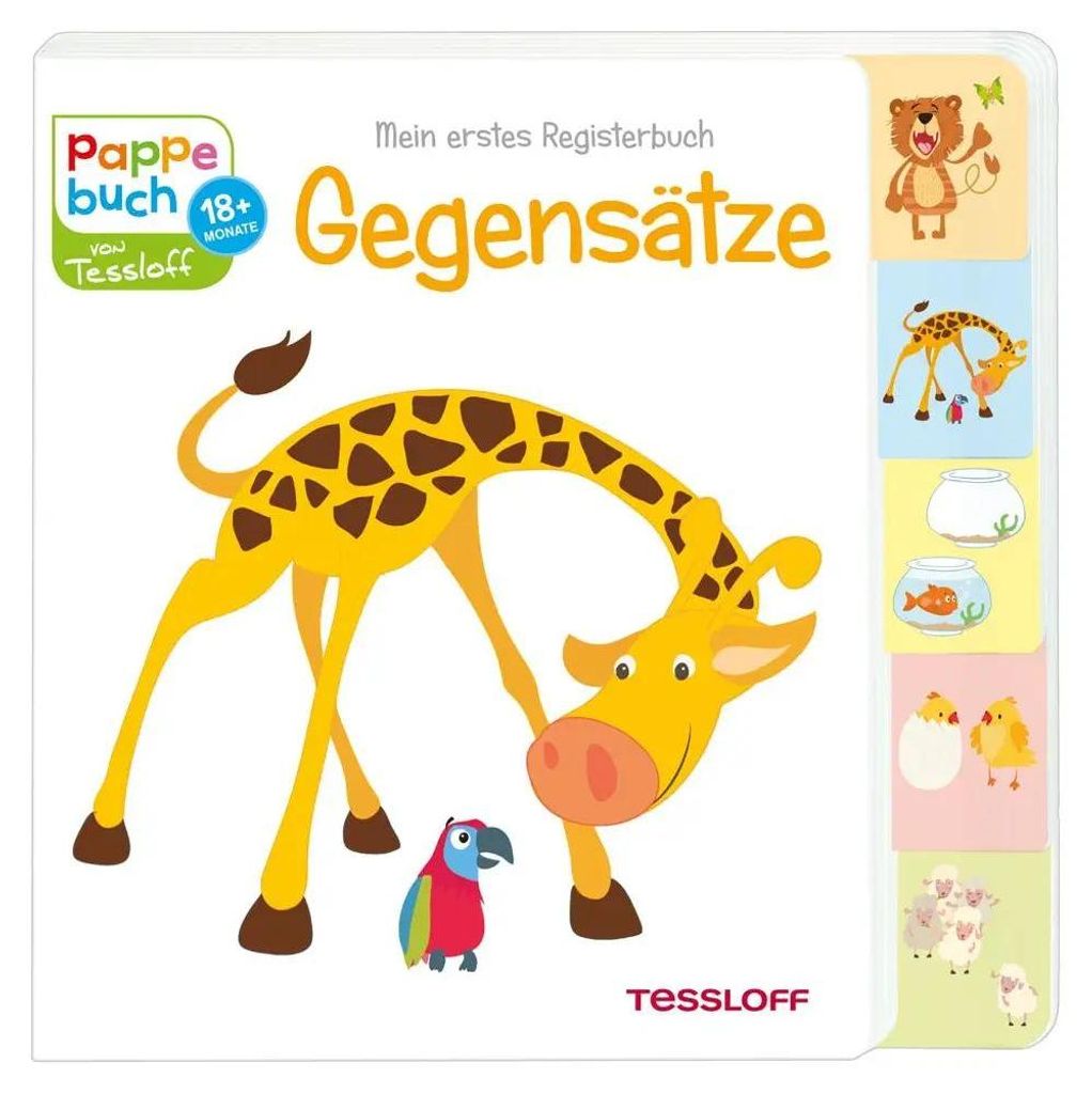 Mein erstes Registerbuch Gegensätze