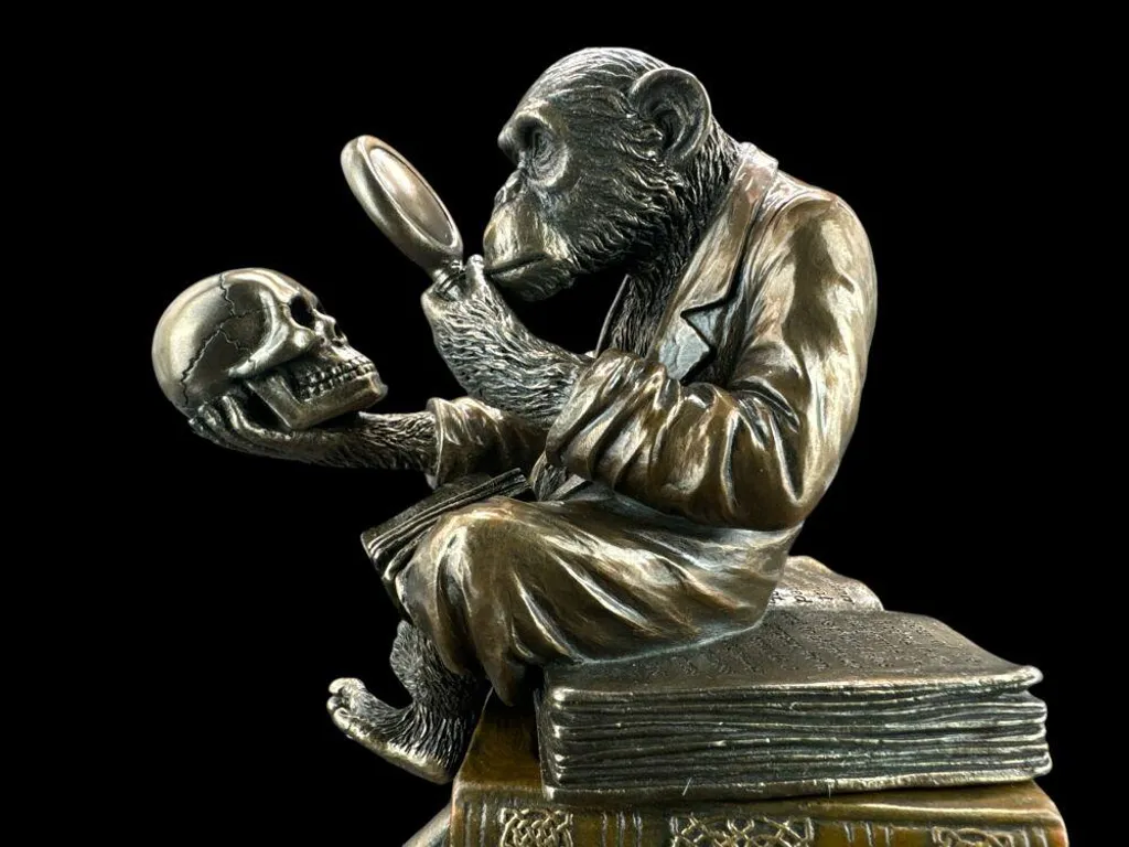 Coffret Évolution du chimpanzé WU76129A4 - Figurine de collection Veronese - 9