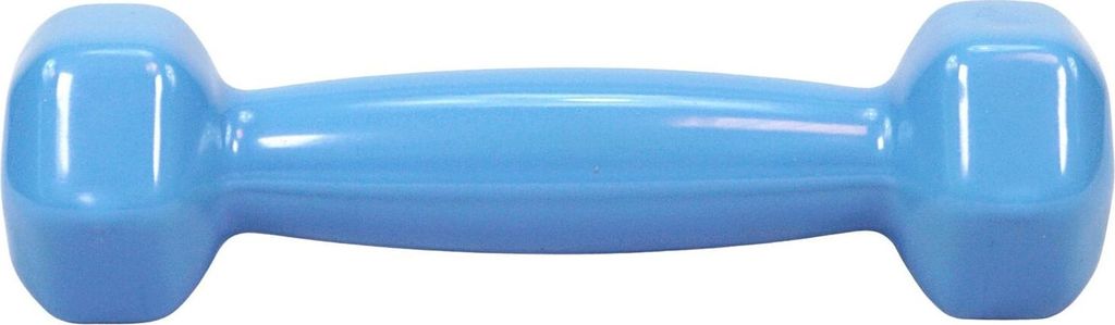 Best Sporting Vinyl Hantel 0,5-1,5 kg I Hanteln in Hellblau oder Anthrazit I Hantel mit komfortablem Griff I Mit einem Eisenkern und Neoprenüberzu...