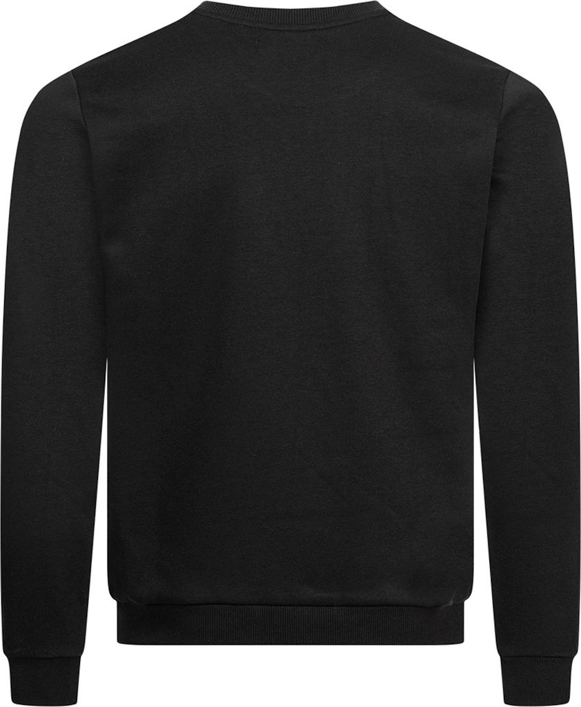 Pierre Cardin Sweatshirt Pullover