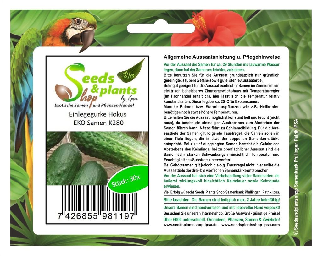 30x Einlegegurke Hokus EKO Gemüse Saatgut Pflanzen - Samen K280