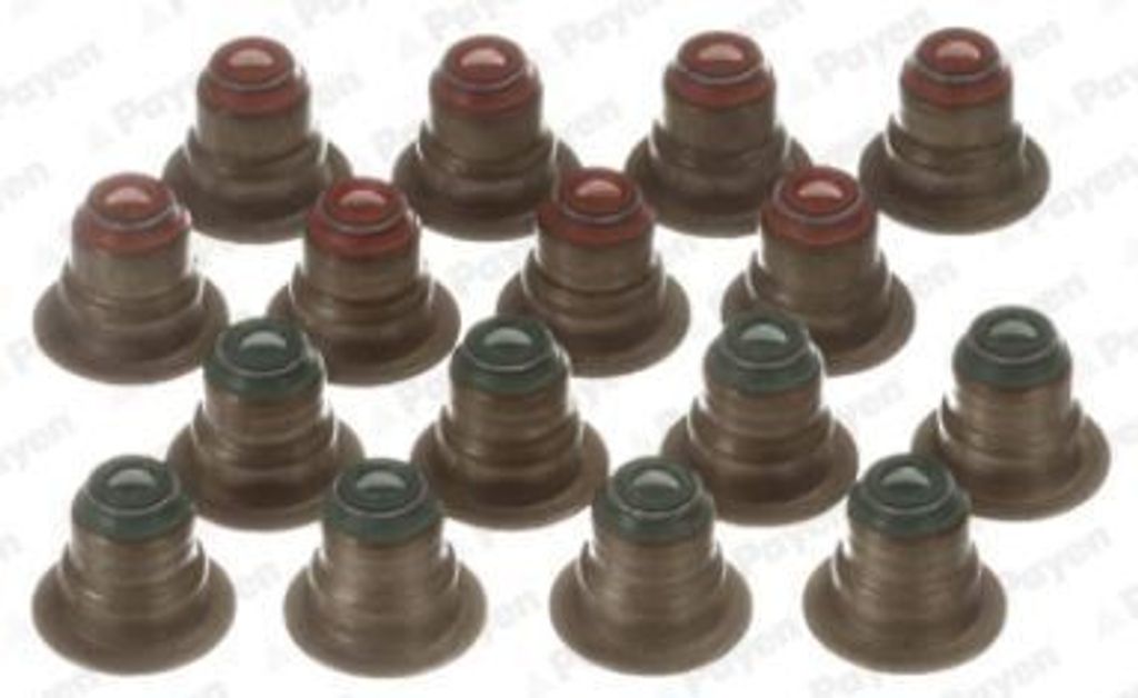 PAYEN Ventilschaftdichtung-Satz Ventilschaftdichtung HR5033 für FORD FOCUS (DAW, DBW)