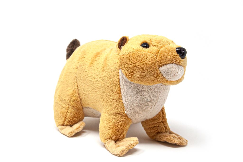 A plush toy prairie dog is shown against a white background.