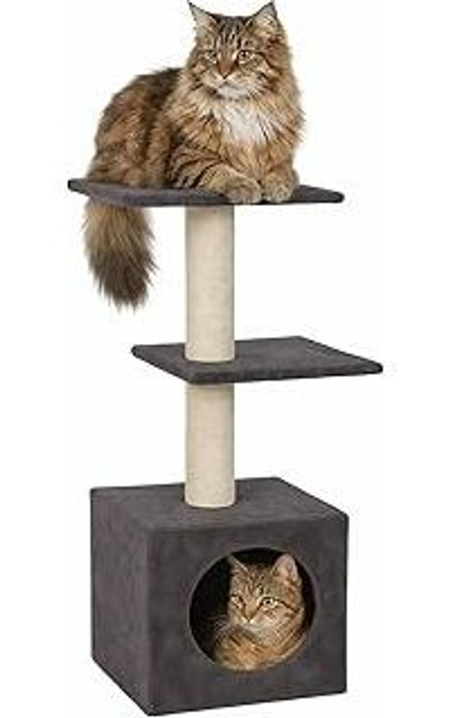 Kratzbaum – Charmaine Grau – 99 cm – Weicher Plüsch 200 g/m² – Jute-Kratzseile Ø 8 cm – Gepolsterte Liegeflächen – Gemütliche Höh...