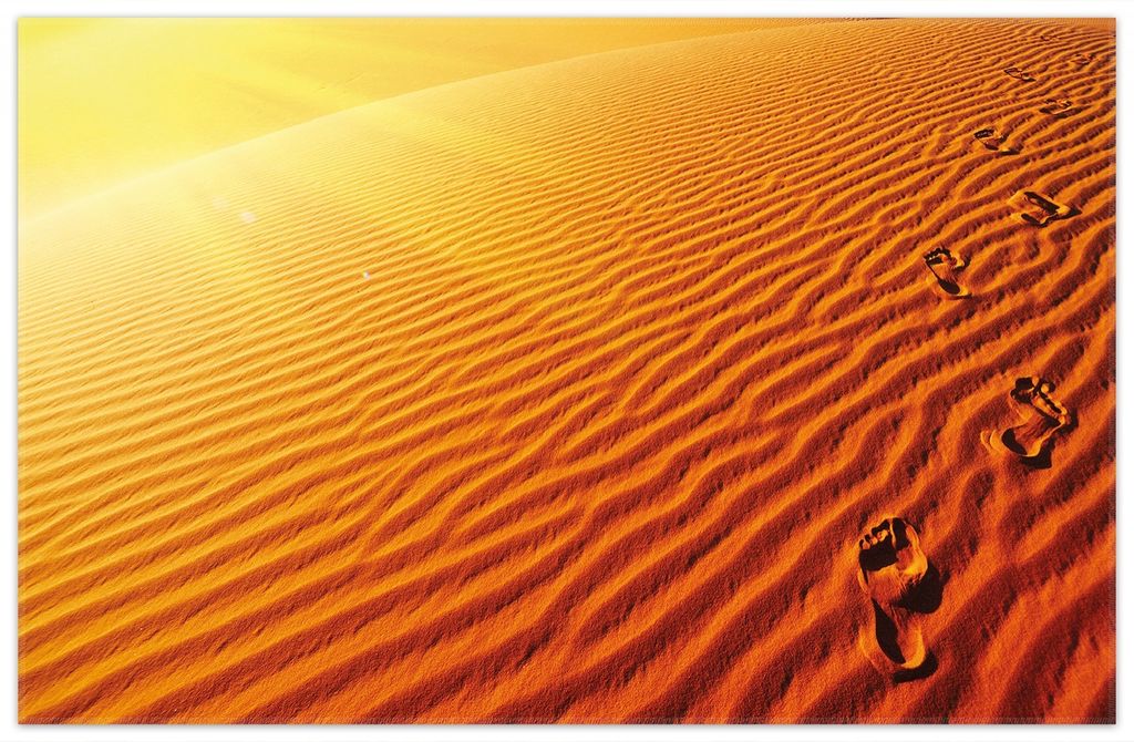 Wallario Premium Teppich, Größe 90 x 140 cm, Fußspuren im Sand - Sanddüne in der Wüste