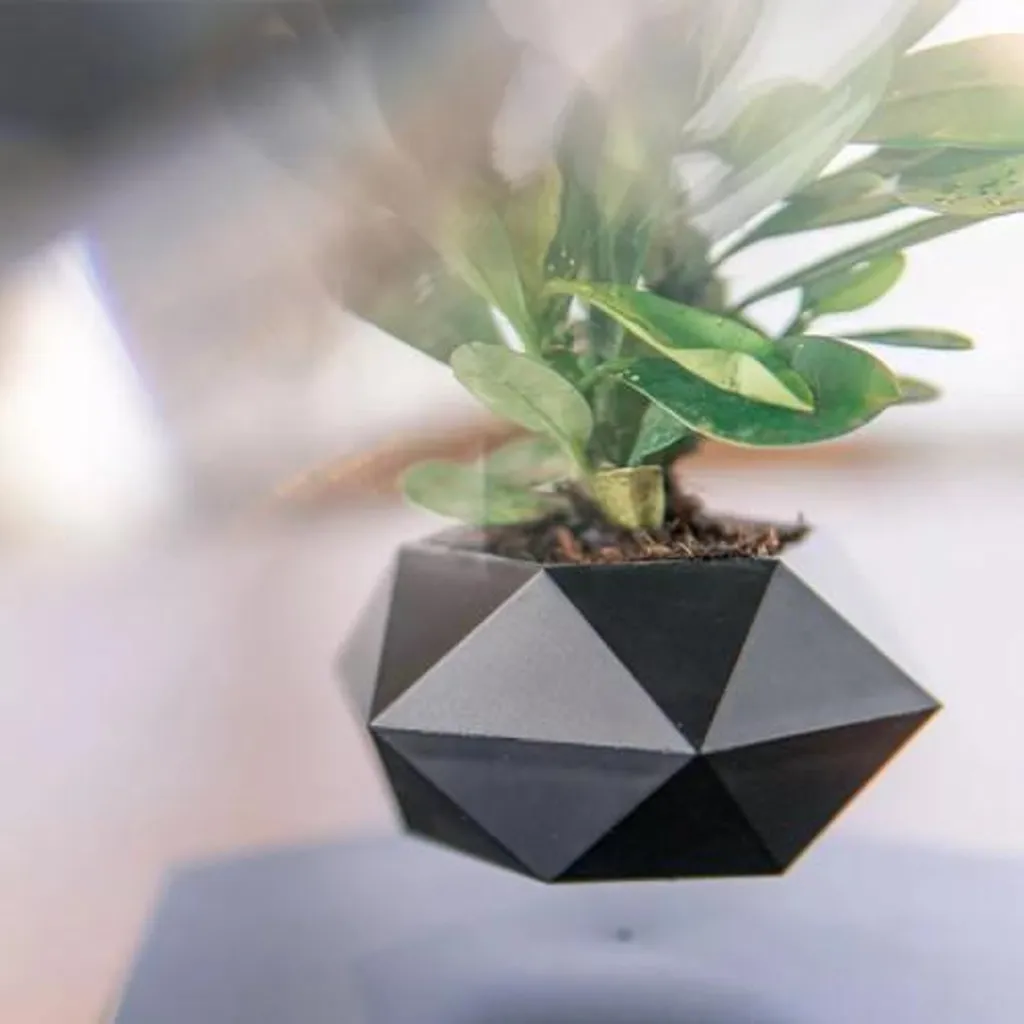 Pot de fleur flottant HEXAFLY noir pour plante en lévitation naturelle