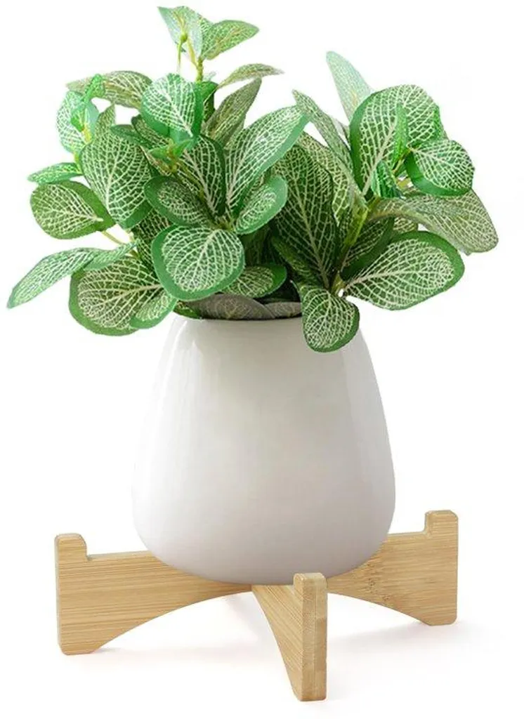 Support anti-taches pour plantes de 20cm idéal pour parquets et sols