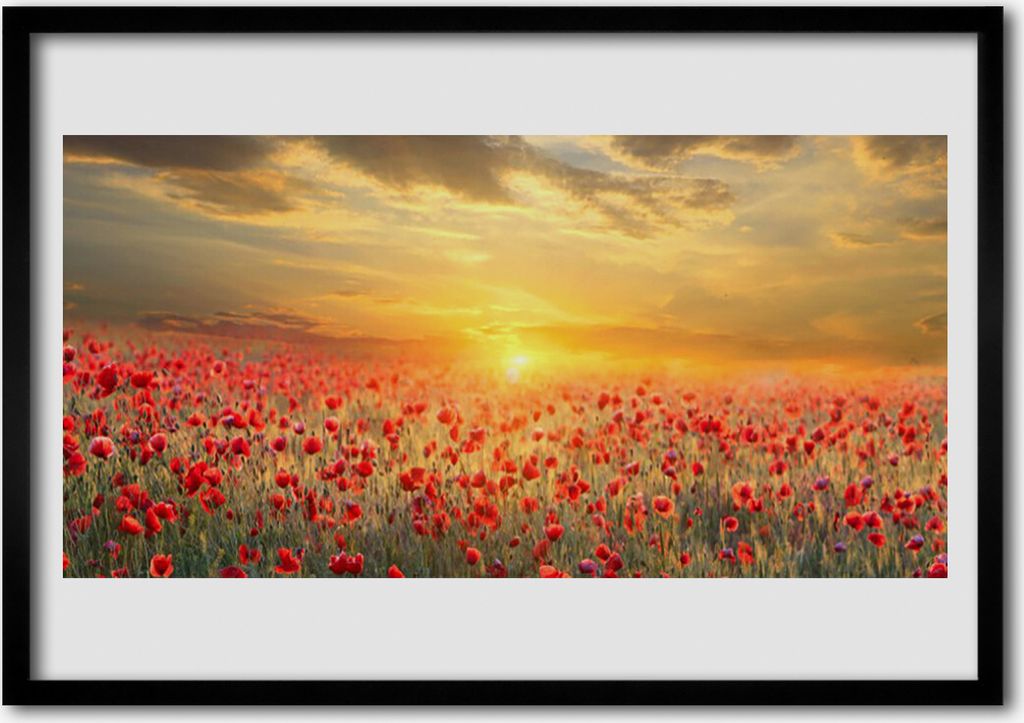 Bild 100x70 MDF-Rahmen Wandkunst Sun Meadow Mohnblu