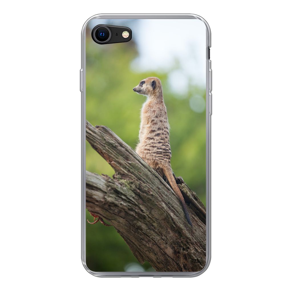 MuchoWow Handyhülle Schutzhülle Hülle für iPhone SE 2022 Erdmännchen - Ast - Baum Silikon Softcase Handy Hülle - Schutzhülle