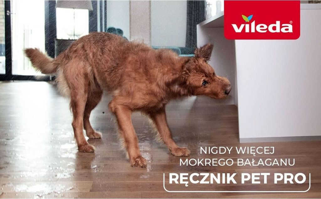 A wet dog is shaking water off itself on a wooden floor, with a Vileda logo and text overlay.