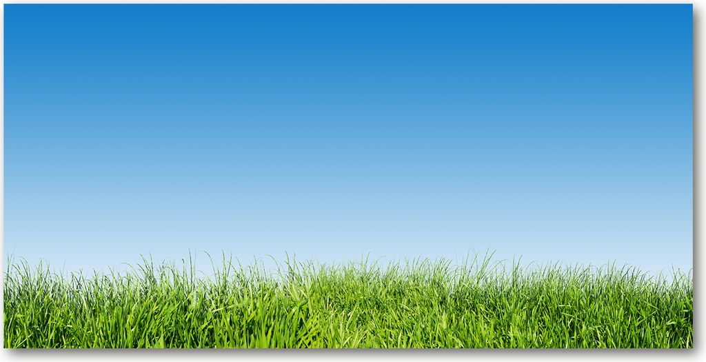 Tulup Küchenrückwand Spritzschutz aus Glas -100x50 -Spritzschutz auf gehärtetes GlasDeko Blumen & Pflanzen Gras