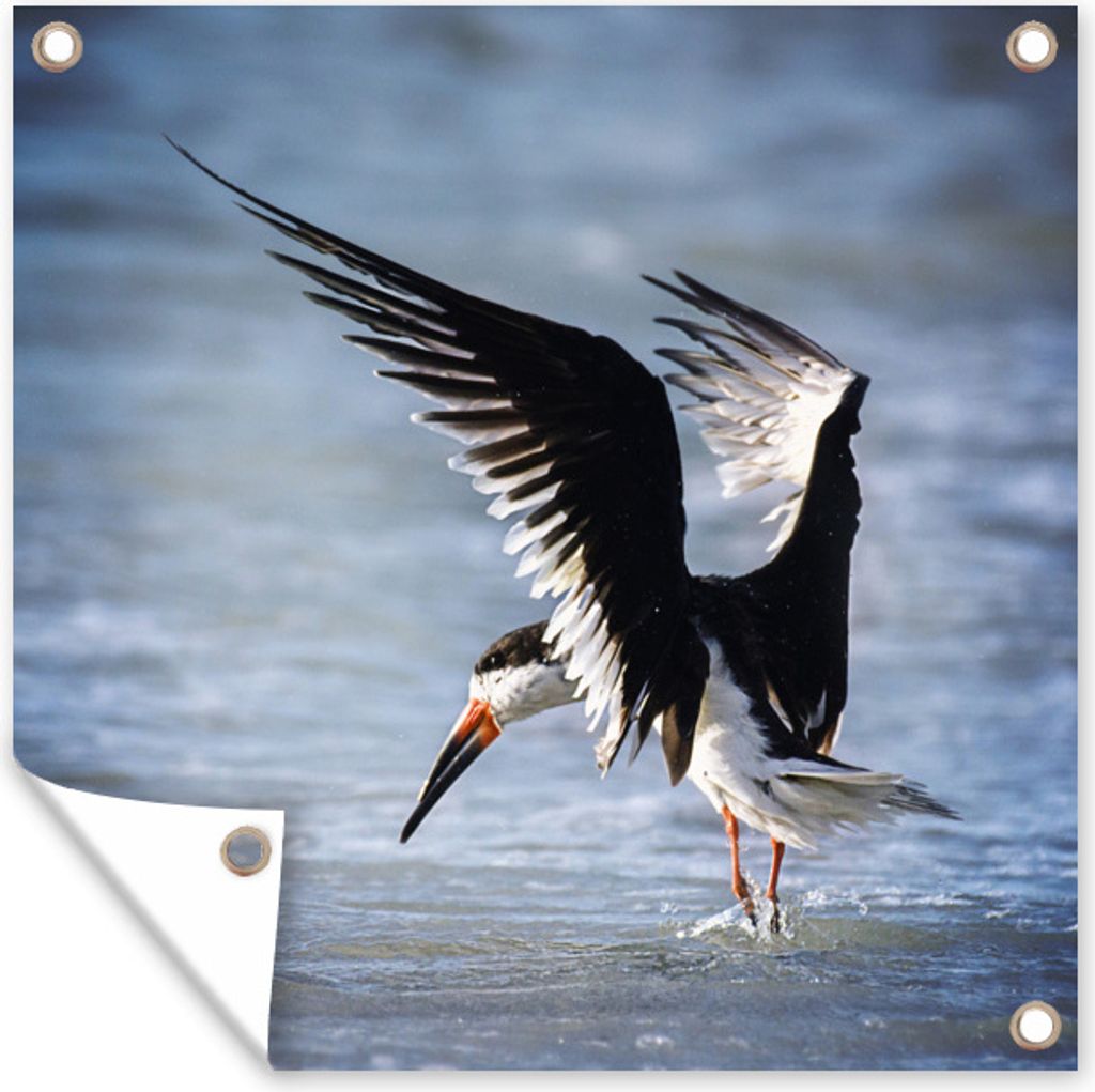 MuchoWow 80x60 cm Outdoor-Poster Gartendeko Sichtschutz Garten Poster für den Garten Ein schwarzer Abschäumer steht im Wasser