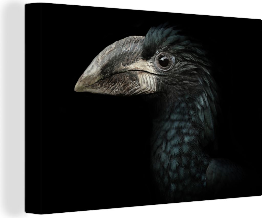 OneMillionCanvasses - Leinwandbilder - 150x100 cm, Vogel - Porträt - Hornvogel - Schwarz - Tiere, Wandbilder Kunstdruck Wanddekoration - Foto au...