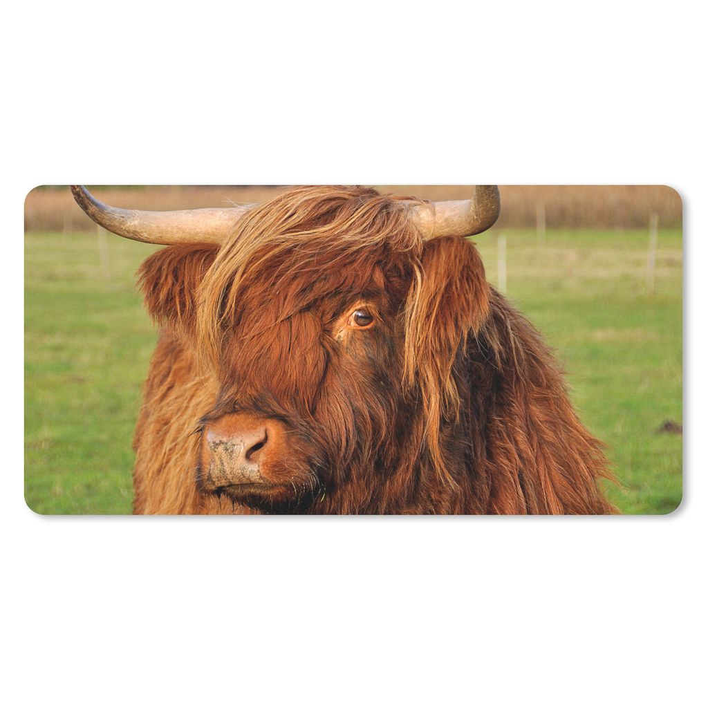 MuchoWow Schreibtischunterlage Schottischer Highlander - Gras - Baum 80x40 cm - XXL Mauspad - Gaming Mauspad