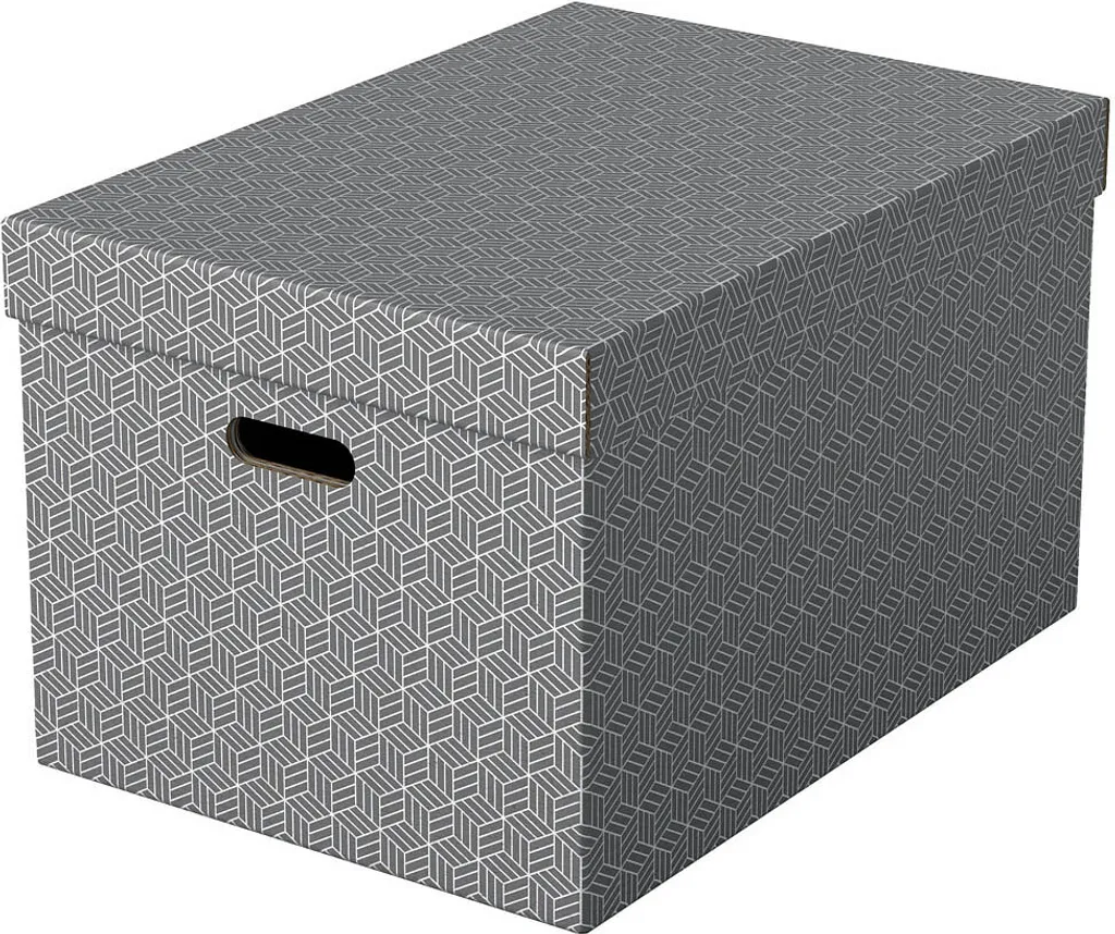 Lot de 3 boîtes de rangement Esselte Home 50L gris 35,5x51x30,5 cm