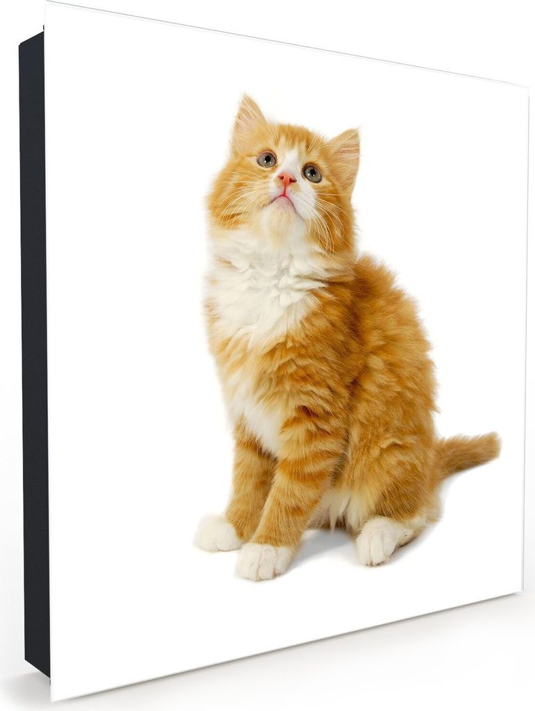 Nachbildung-Schlüsselkasten, Magnetpinnwand und Memoboard mit Glasfront Motiv Roter Kater