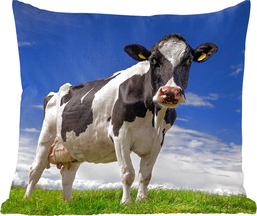 MuchoWow Zierkissen Sofakissen Wohnzimmer Dekokissen 40x40 cm Kuh - Gras - Blau - Tiere - Foto Kissen - Schlafzimmer Dekoration