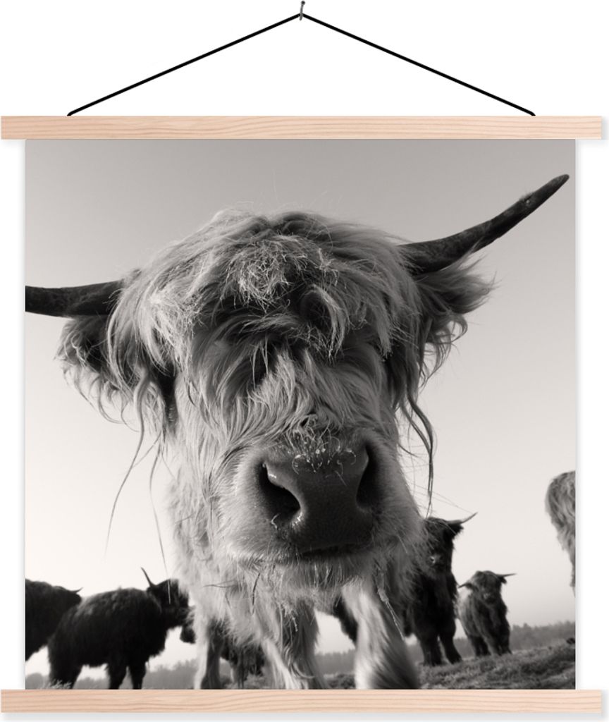 MuchoWow Textilposter Schottisches Hochlandrind - Schwarz - Weiß - Tiere 40x40 cm mit holzfarbenen Rahmen - Posterleiste