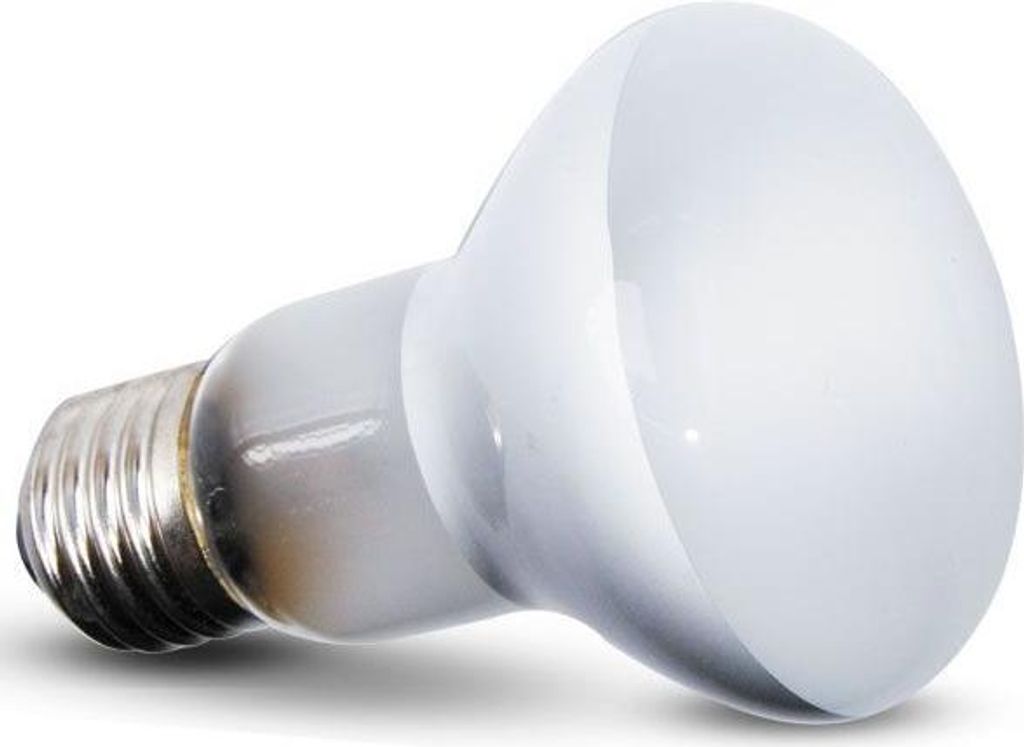 Repti-Zoo Beam Spot 75W - Lampadina riscaldante spot Immagine del prodotto 