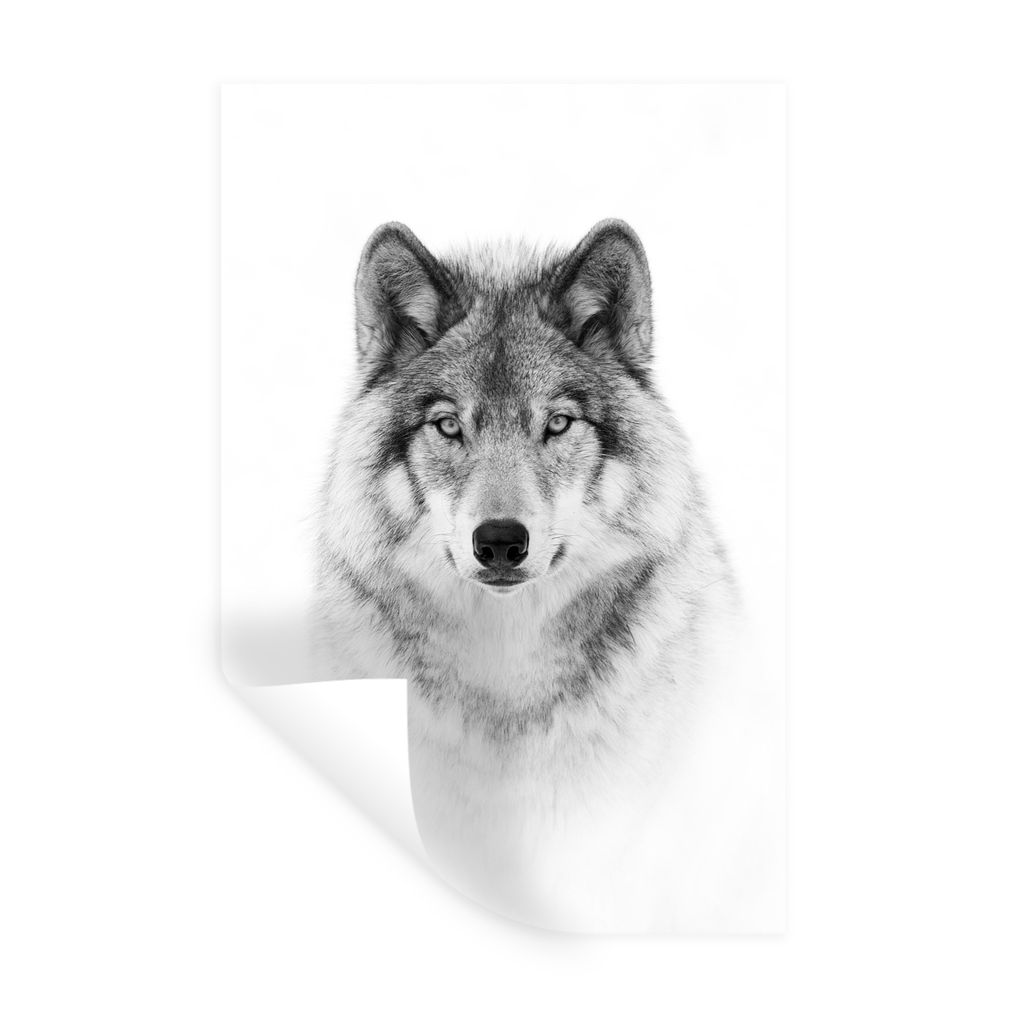 MuchoWow Wandtattoo Wandsticker Wandaufkleber Wolf - Tiere - Porträt - Weiß 20x30 cm Selbstklebend und Repositionierbar - Sticker - Dekorfolie