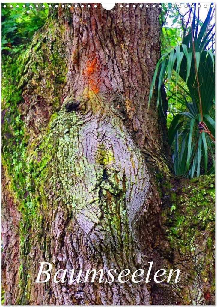 Baumseelen (Wandkalender 2026 DIN A3 hoch), CALVENDO Monatskalender