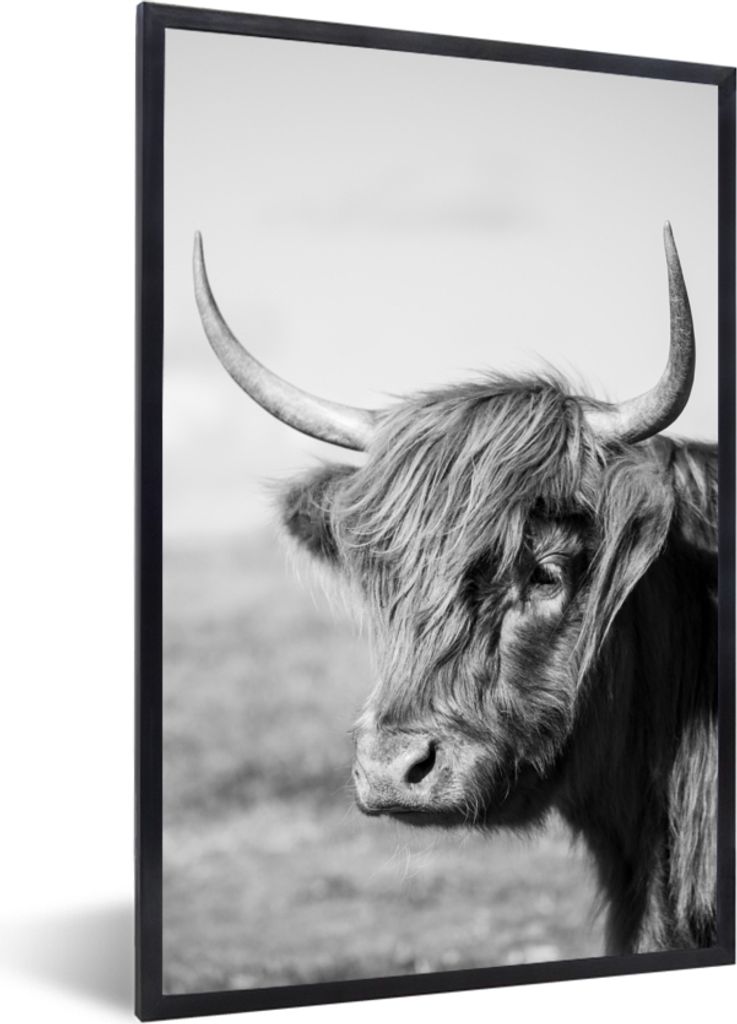 MuchoWow Gerahmtes Poster Schottischer Highlander - Tiere - Schwarz - Weiß 20x30 cm - Poster mit Schwarzem Bilderrahmen Wandposter Rahmen Foto B...