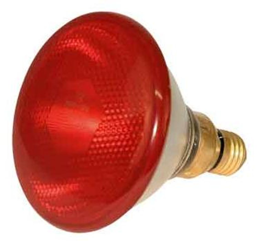 lampada infrarossi per riflettore 150 watt - col. rosso Immagine del prodotto 
