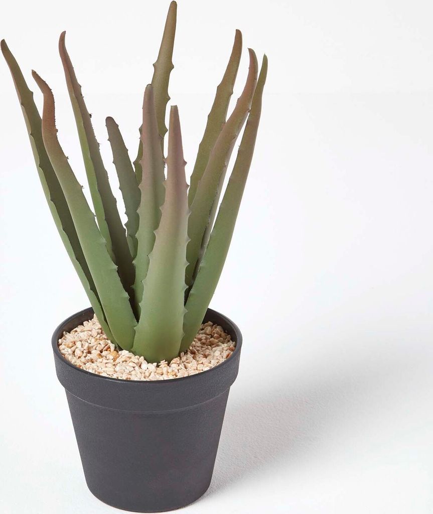HOMESCAPES Kleine Künstliche Echte Aloe Vera in schwarzem Topf, 30 cm hoch