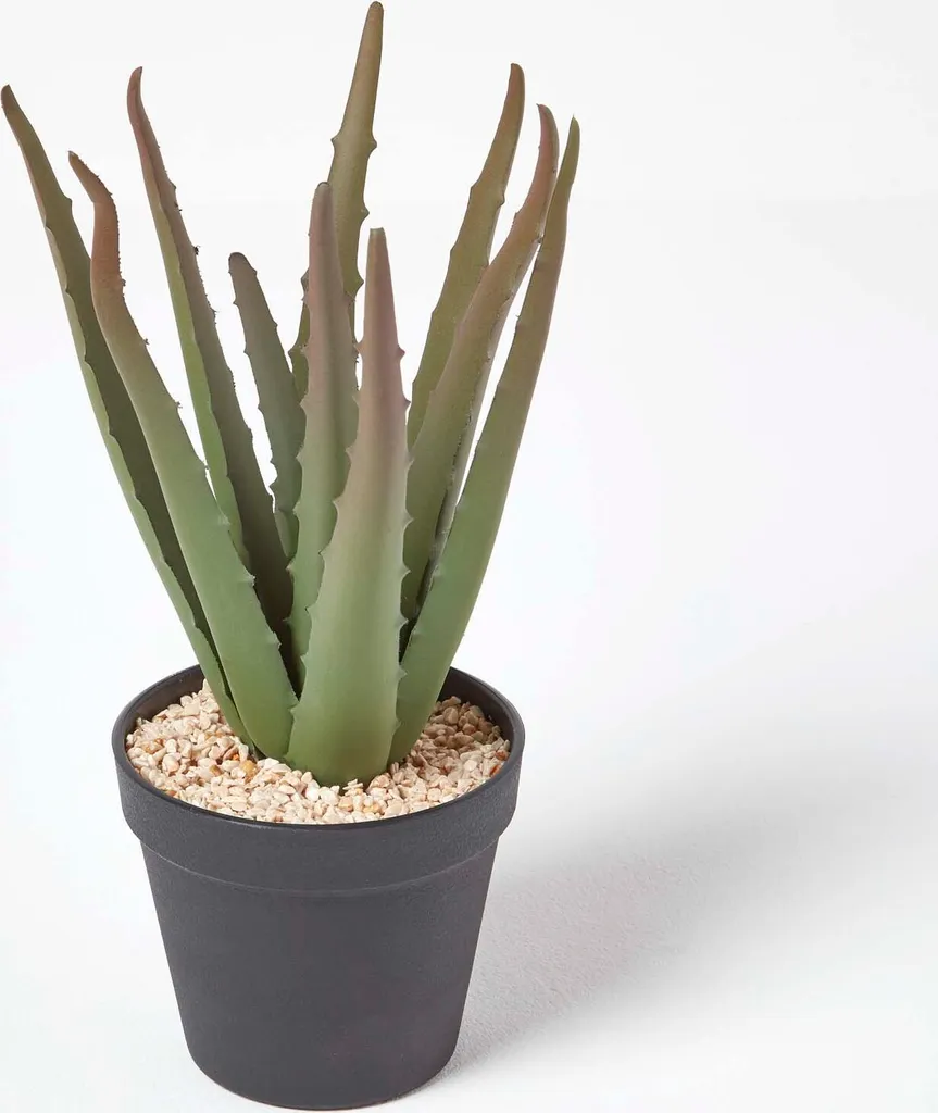 Homescapes Petit Aloe Vera Artificiel en Pot Noir Décoratif de 30 cm