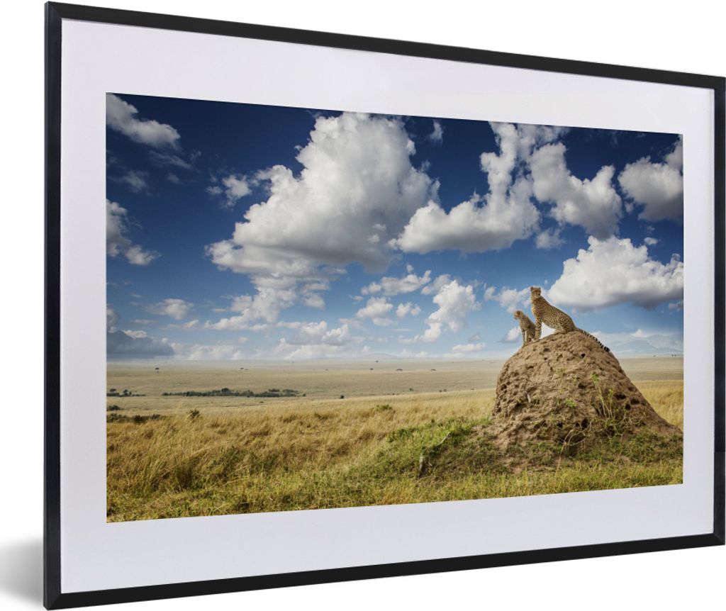 MuchoWow MuchoWow Gerahmtes Poster Geparden - Steine - Gras 60x40 cm - Poster mit zchwarzem Bilderrahmen - Schlafzimmer - Plakat in Rahmen - Dr...