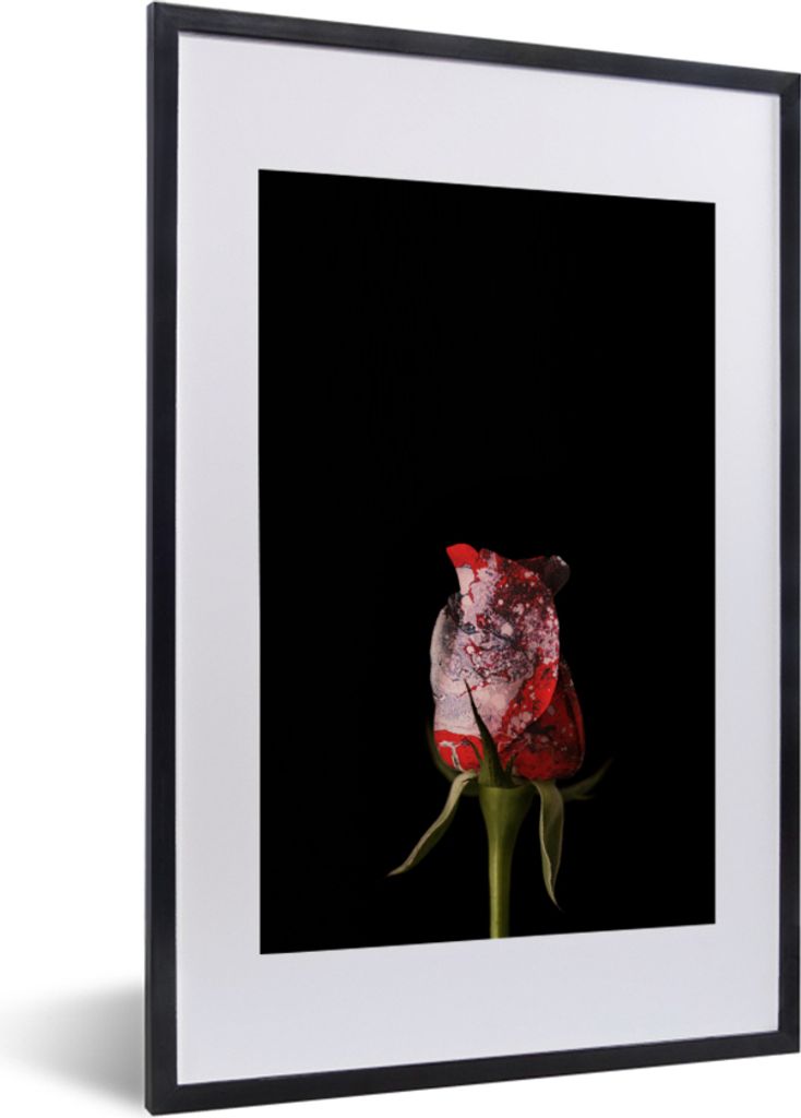 MuchoWow MuchoWow Gerahmtes Poster Rose - Schwarz - Pilz 40x60 cm - Poster mit zchwarzem Bilderrahmen - Poster in Rahmen