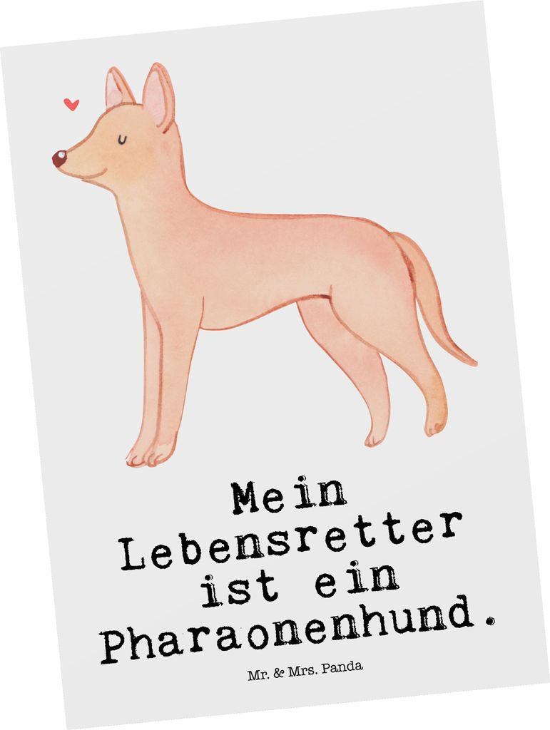 Mr. & Mrs. Panda Postkarte Pharaonenhund Lebensretter - Weiß - Geschenk, Grußkarte, Kelb Tal-Fenek, Postkarten, Kunstkarten, einzelkarte, Ansicht...
