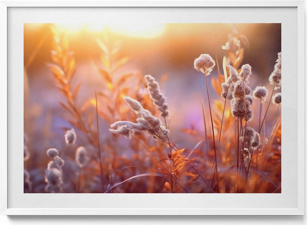 Boho-Gräser bei Sonnenaufgang– Wandbild mit Rahmen – Gerahmtes Bild – Wanddekoration – 100x70 cm – Weiß Rahmen