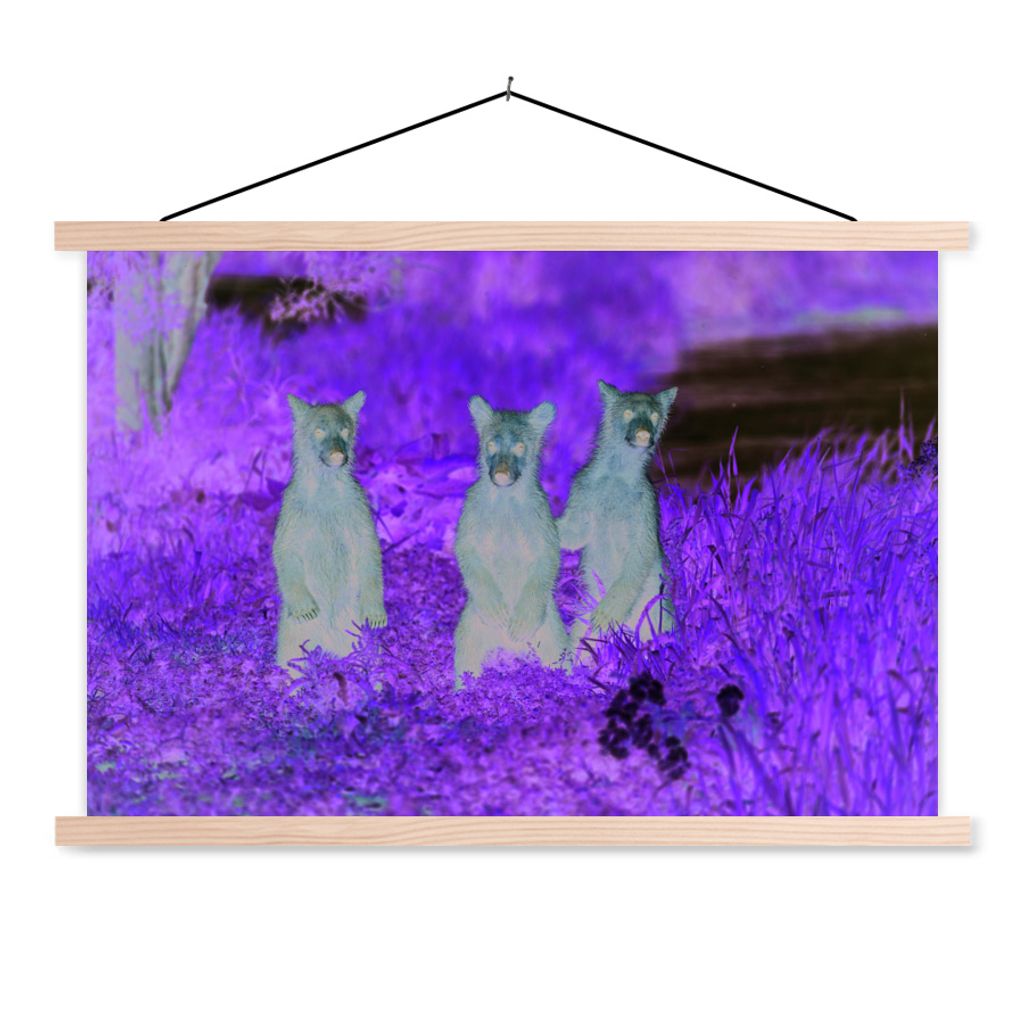 MuchoWow Textilposter Bären - Blumen - Gras - Familie 60x40 cm mit holzfarbenen Rahmen - Bilder