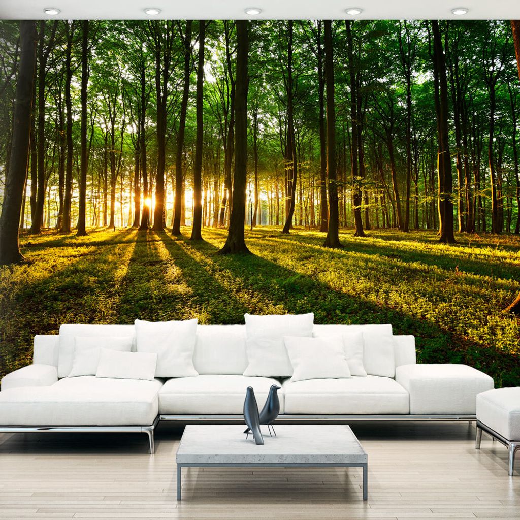 Basera Selbstklebende Fototapete Waldmotiv c-B-0127-a-b, mit UV-Schutz, 343x245 cm