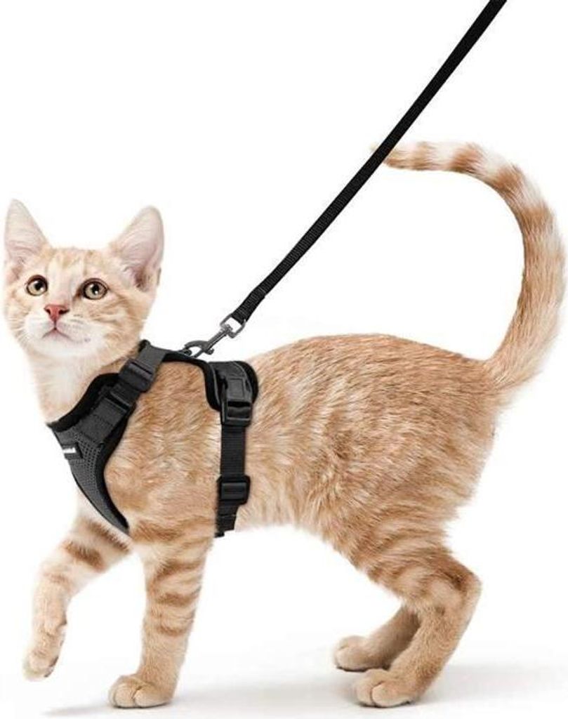 Katzengeschirr/Katzengeschirr/Leine Schwarzes Katzengeschirr XS Verstellbares atmungsaktives Katzengeschirr-Halsband mit Leine