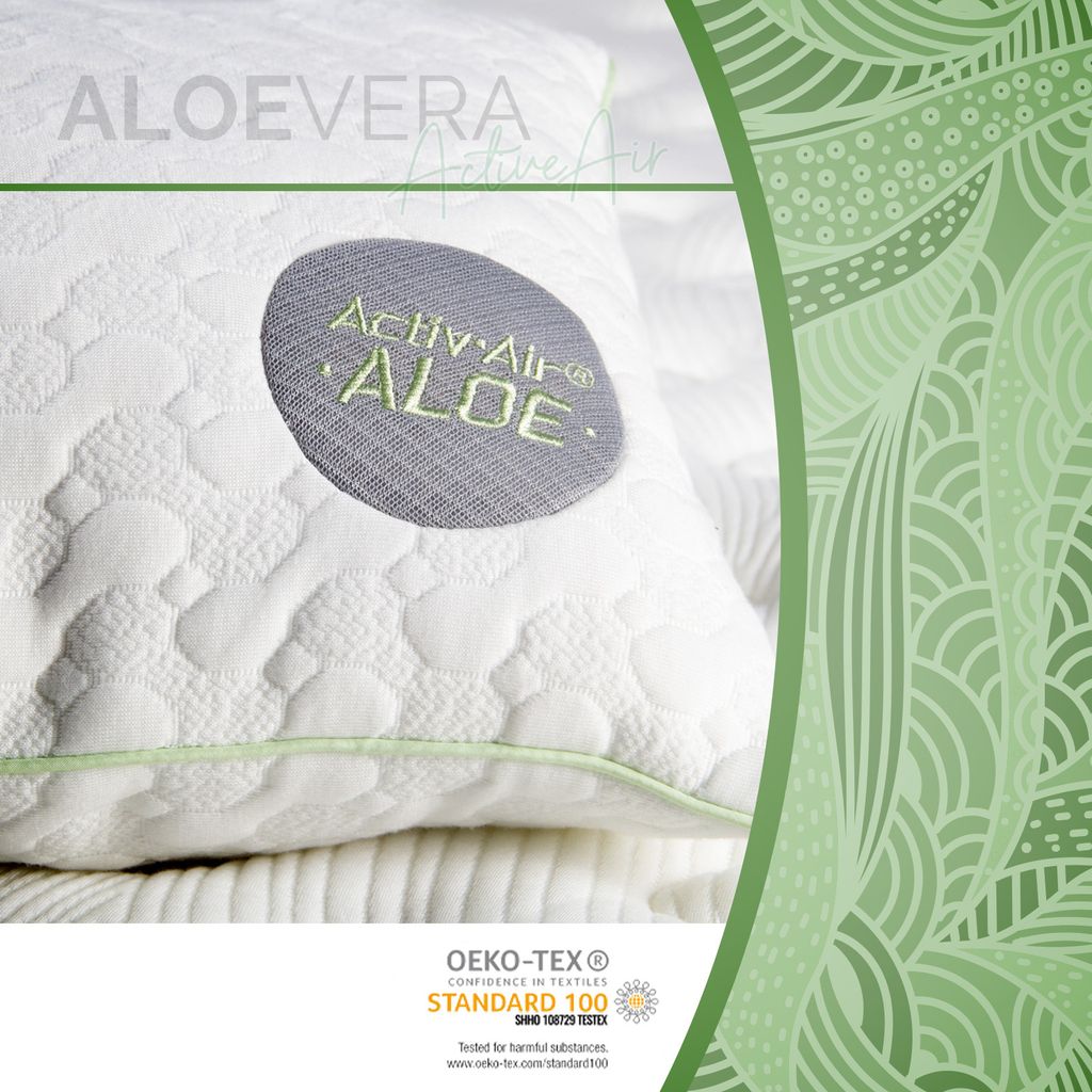 Gentle North Kopfkissen (40x60 cm groß) - 2er Set Kissen für Bett und Gentle North Kopfkissen (40x60 cm groß) - 2er Set Kissen für Bett und