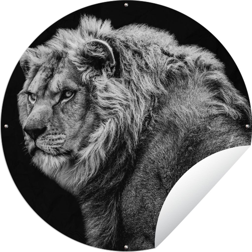 MuchoWow Gartenposter Outdoor-Poster Rund Löwe - Porträt - Wildtiere - Schwarz - Weiß Ø 120 cm Gartendeko Rundes Poster draußen