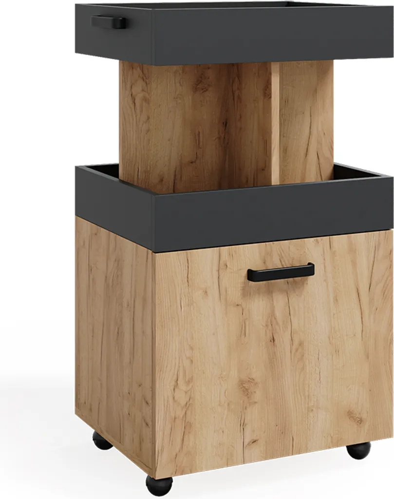 Caisson mobile 50x88,6 cm Vicco Chêne doré avec roulettes pivotantes