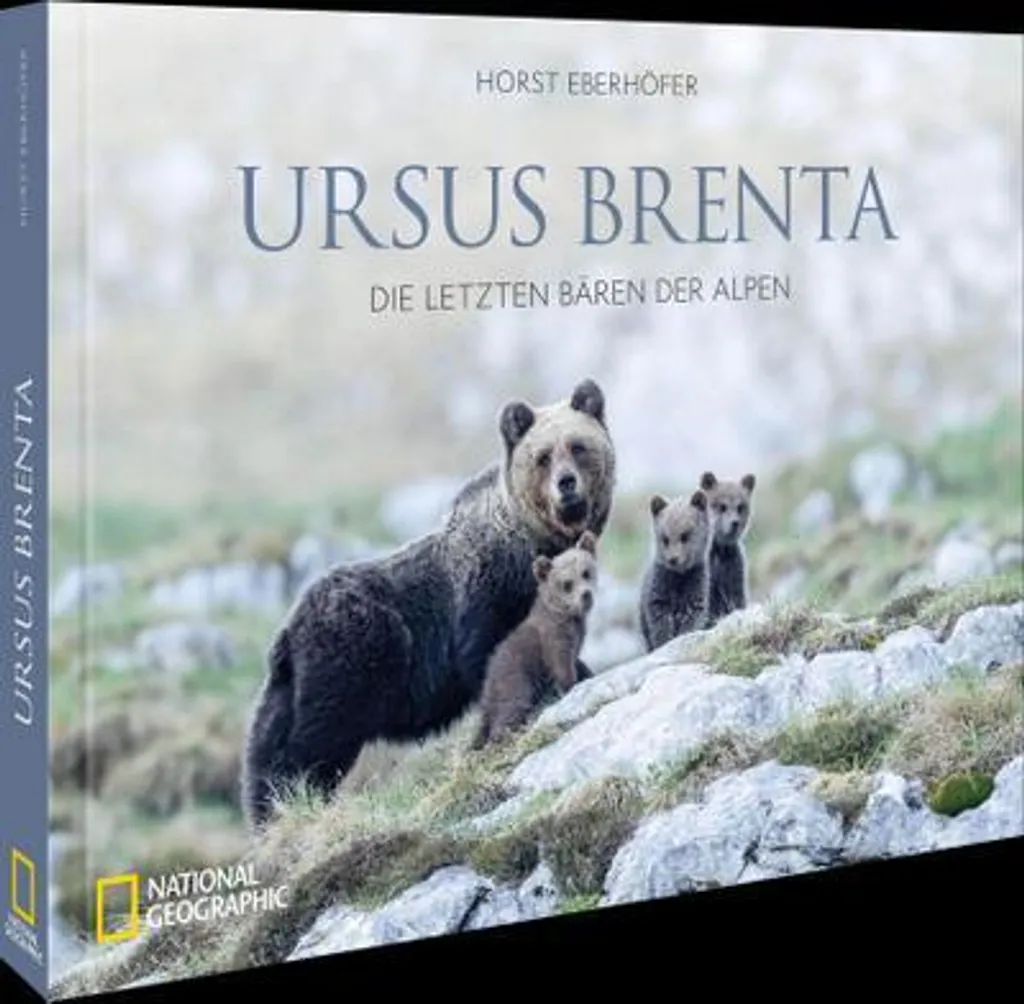 Ursus Brenta - Photographies et Récits Inédits sur les Ours des Alpes